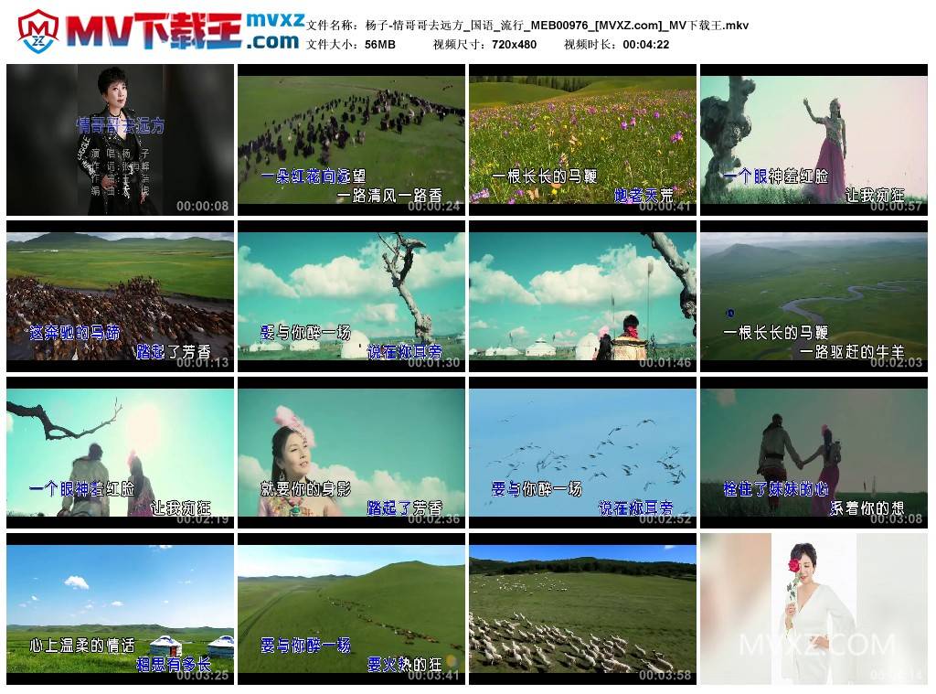 杨子-情哥哥去远方_国语_流行_MEB00976